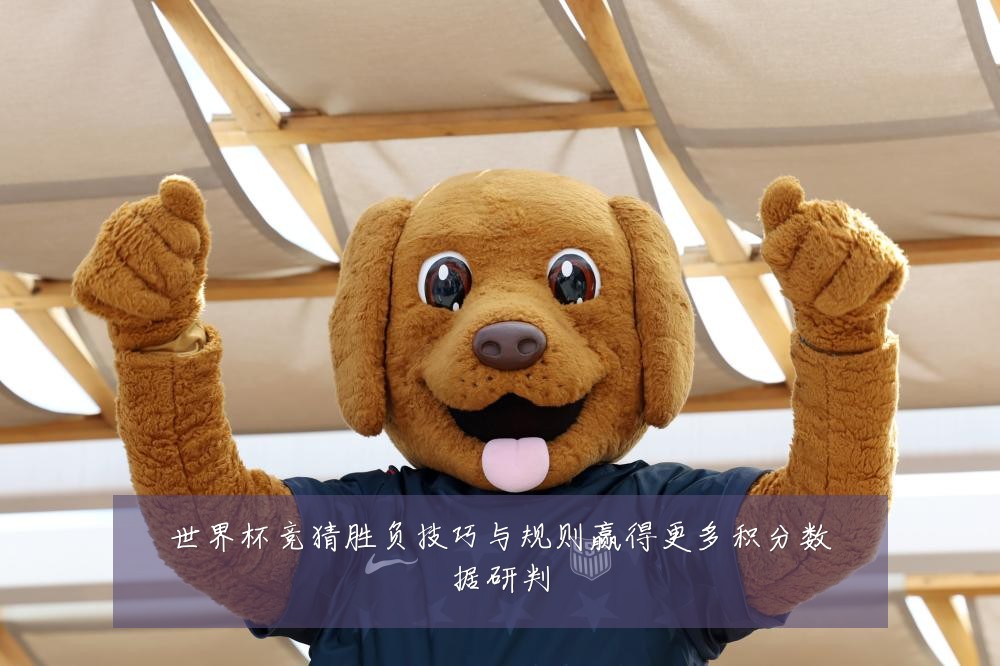 世界杯竞猜胜负技巧与规则赢得更多积分数据研判