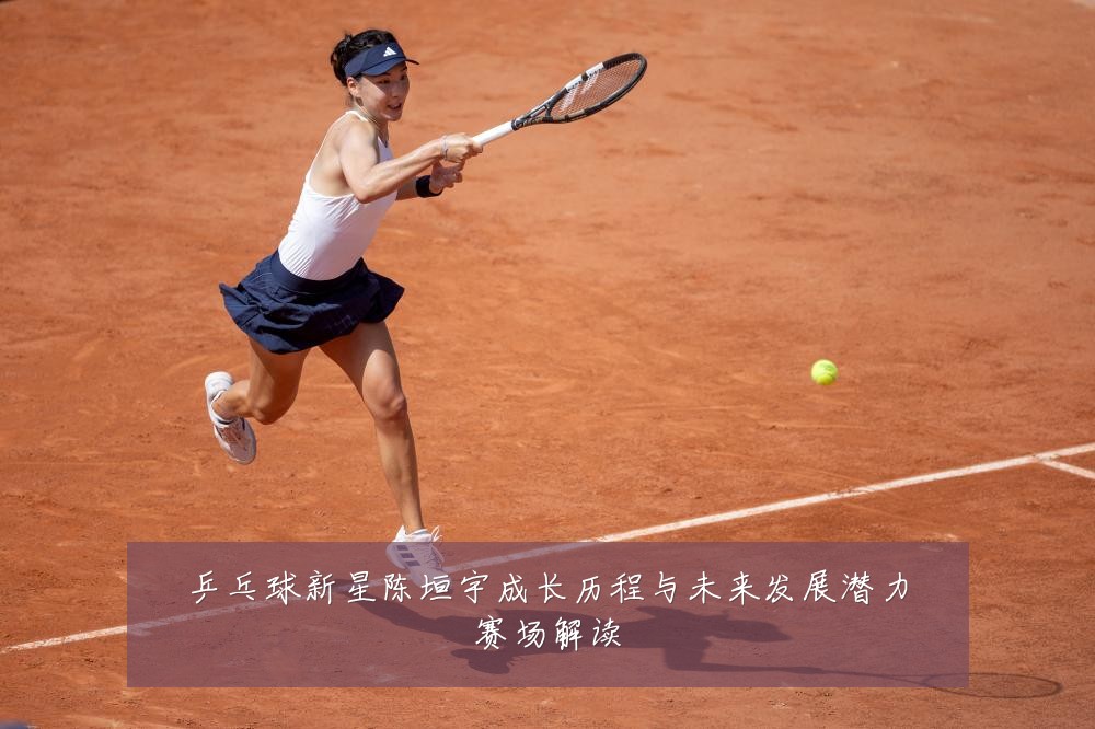 乒乓球新星陈垣宇成长历程与未来发展潜力赛场解读