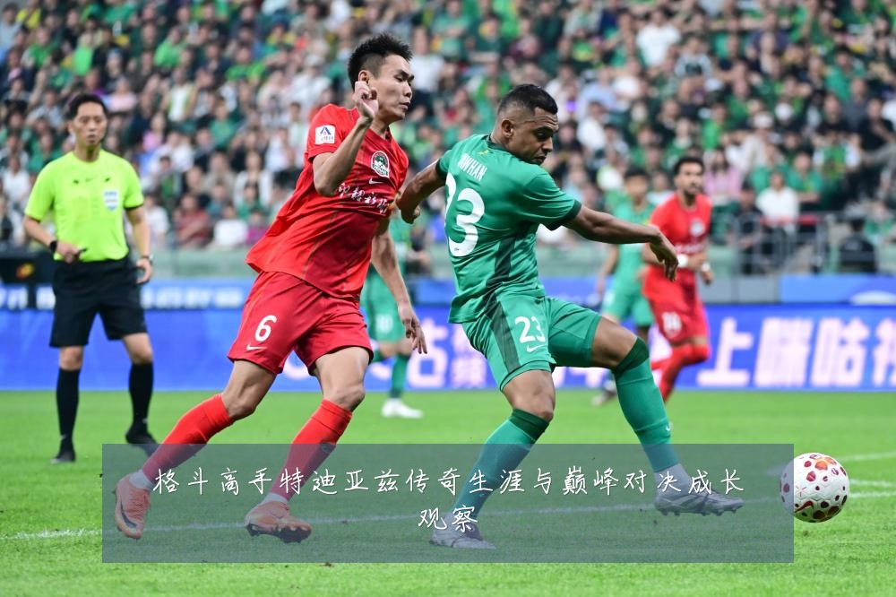 格斗高手特迪亚兹传奇生涯与巅峰对决成长观察