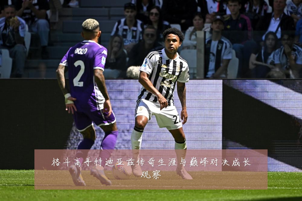 格斗高手特迪亚兹传奇生涯与巅峰对决成长观察