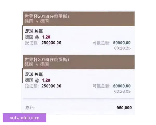 围绕世界杯买球平台打造安全便捷高效体育投注新体验指南